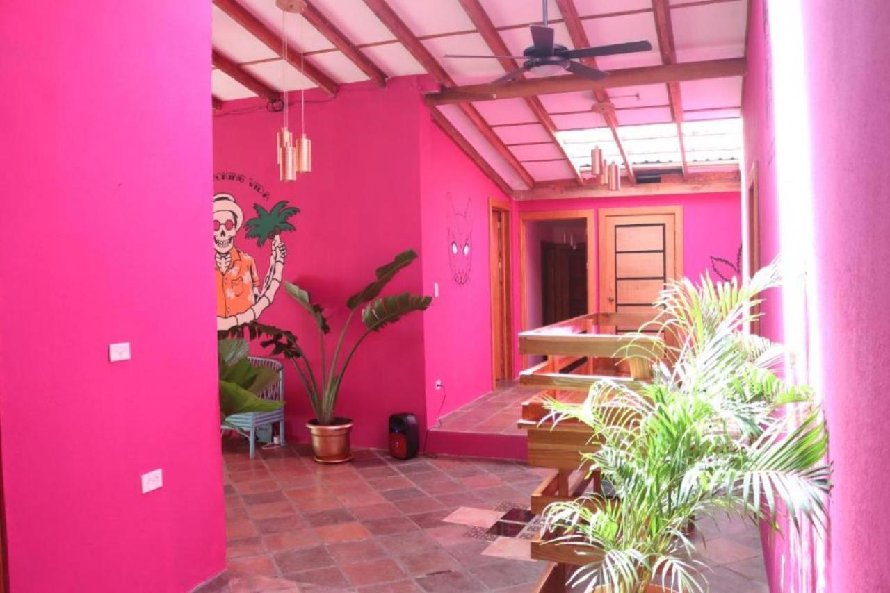 Planet B Hostel - Adults Only Manuel Antonio Εξωτερικό φωτογραφία